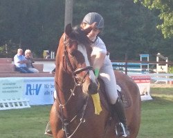 jumper Charlet-Kalakaua (Oldenburg show jumper, 2009, from Colman)