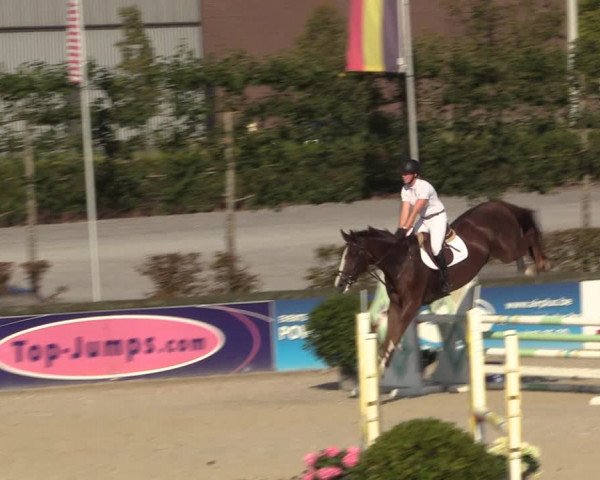 Gold +Cyclus Jonge Paarden in Lier (BEL) 2020