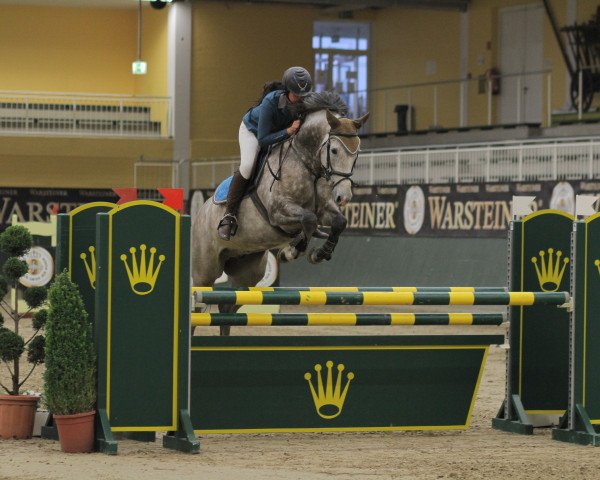 Springpferd Call My Name (Holsteiner, 2006, von Cassini I)
