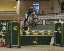 Springpferd Call My Name (Holsteiner, 2006, von Cassini I)