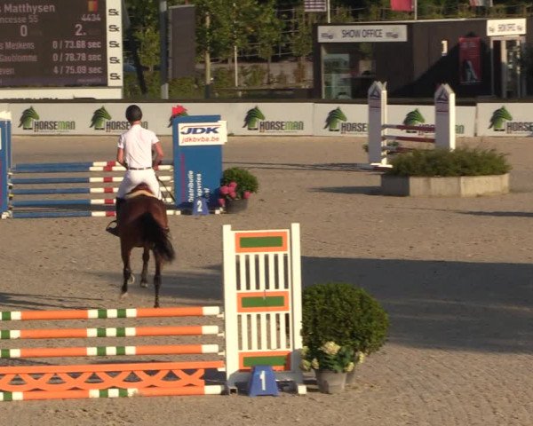Gold +Cyclus Jonge Paarden in Lier (BEL) 2020