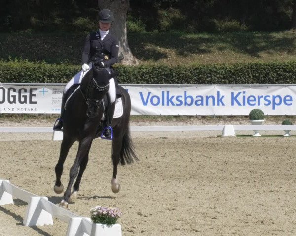 Reitturnier Kierspe-Hohenholten 2020