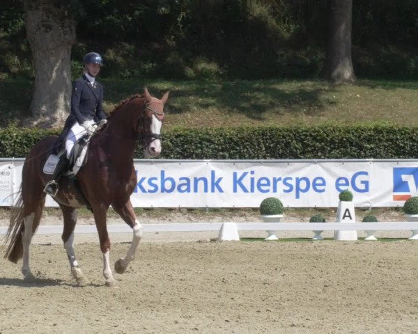 Reitturnier Kierspe-Hohenholten 2020