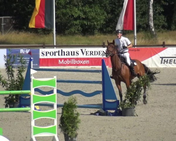 Reitturnier Westergellersen 2020