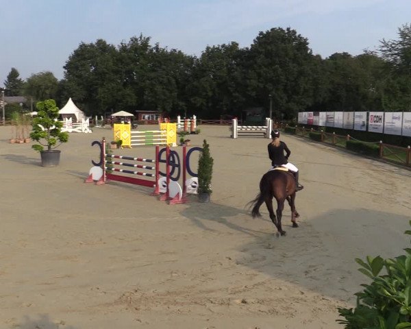 Equus Colonius - Reitanlage Brüse Köln 2021