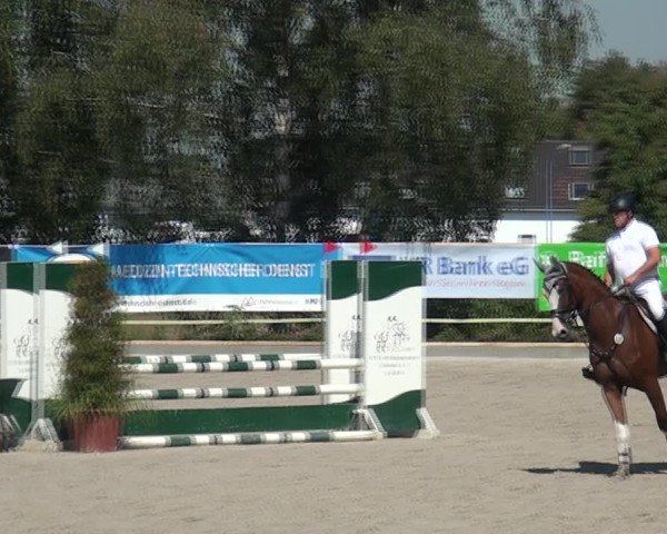 Reitturnier Monheim - Gut Blee 2020