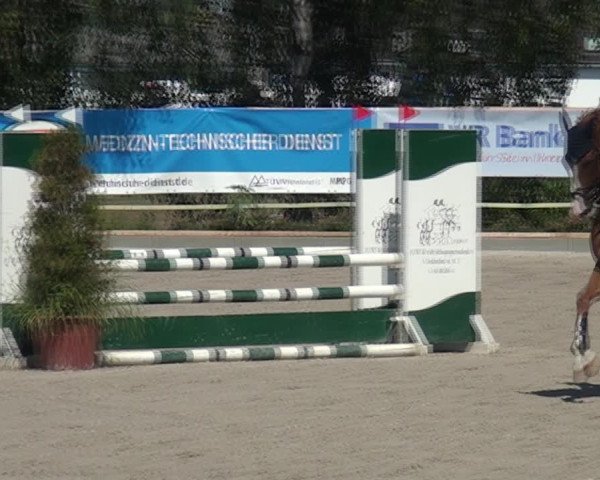 Reitturnier Monheim - Gut Blee 2020