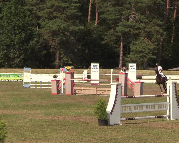Reitturnier Wörmlitz 2020