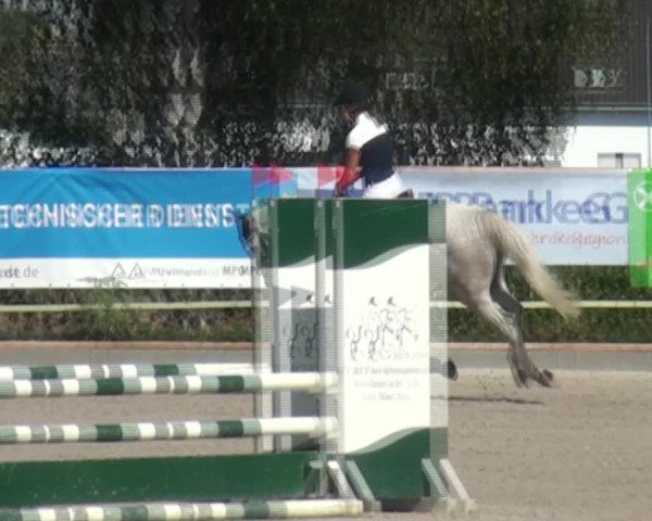 Reitturnier Monheim - Gut Blee 2020