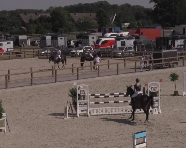 Reitturnier Münster-Amelsbüren 2020