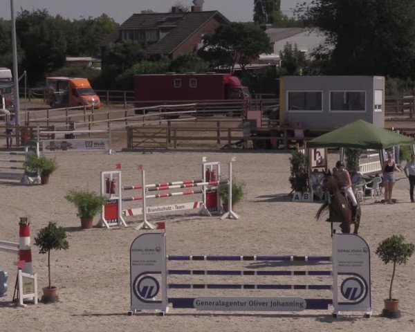 Reitturnier Münster-Amelsbüren 2020