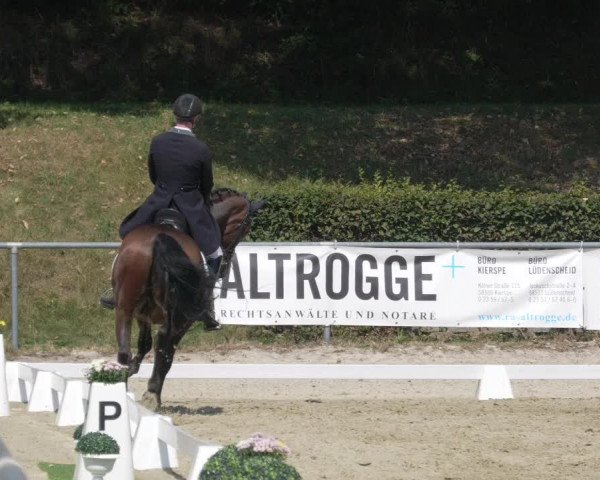 Reitturnier Kierspe-Hohenholten 2020