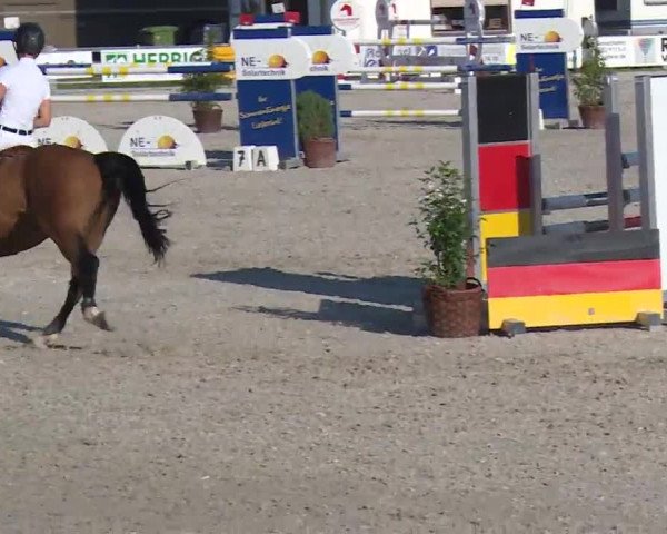 Reitturnier Grafenrheinfeld/Ufr. 2020