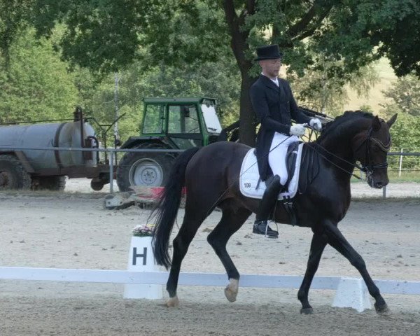 Reitturnier Kierspe-Hohenholten 2020