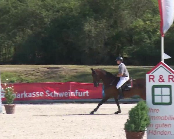 Reitturnier Grafenrheinfeld/Ufr. 2020