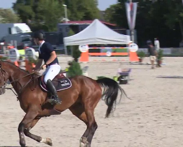 Reitturnier Grafenrheinfeld/Ufr. 2020