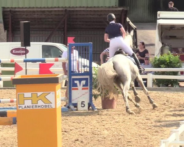 Reitturnier Behrendorf 2020