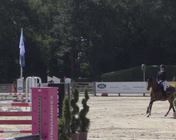 Reitturnier Münster-Handorf 2020