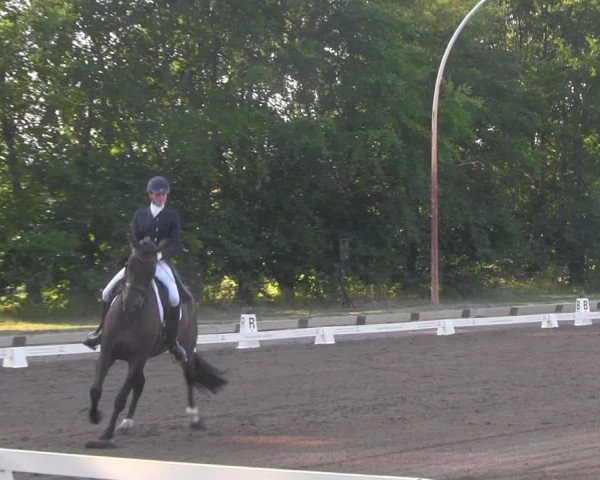 Reitturnier Dallgow 2020