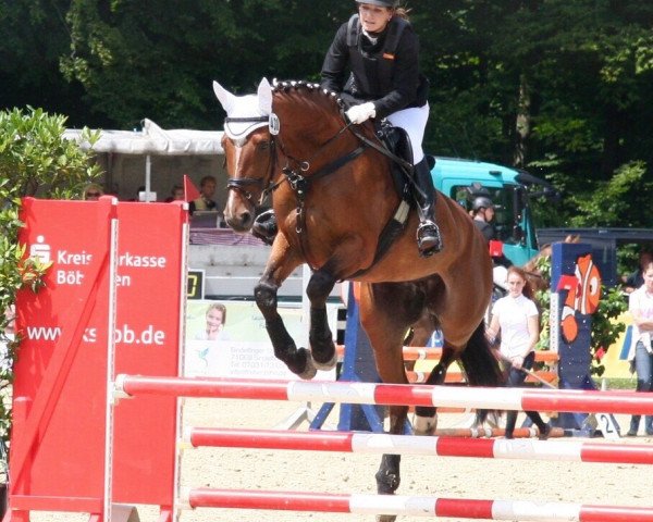 jumper Ricoca (Zweibrücken, 2001, from Ritus DK)