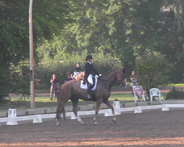 Reitturnier Dallgow 2020