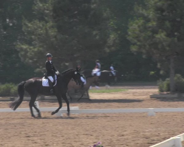 Reitturnier Dallgow 2020