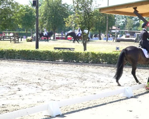 Reitturnier Olfen-Vinnum 2020