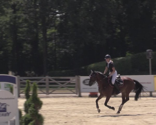 Reitturnier Münster-Handorf 2020