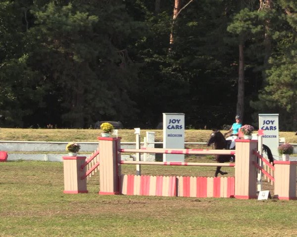 Reitturnier Wörmlitz 2020