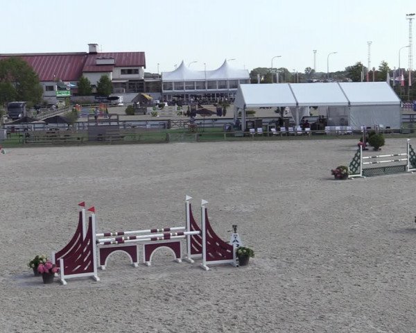 Gold +Cyclus Jonge Paarden in Lier (BEL) 2020