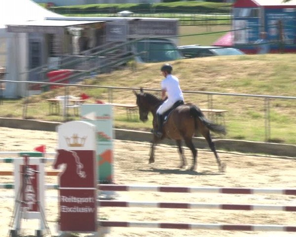 Reitturnier Kirchhoven-Vinn 2020
