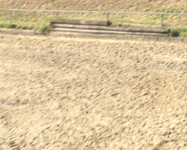 Reitturnier Kirchhoven-Vinn 2020