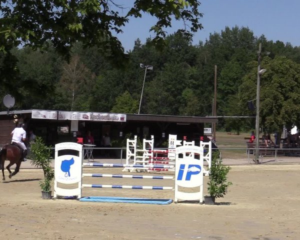 Reitturnier Olfen-Vinnum 2020