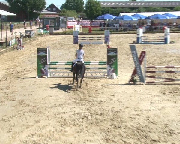 Reitturnier Kirchhoven-Vinn 2020