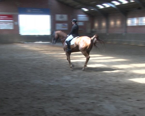 Reitturnier Kirchhoven-Vinn 2020