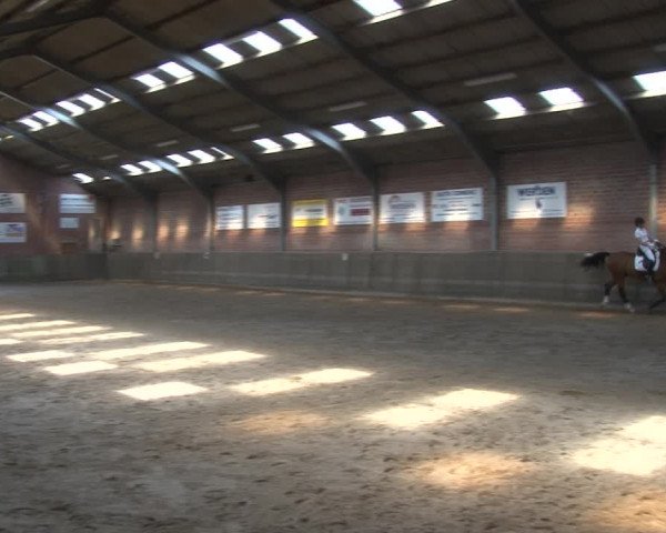 Reitturnier Kirchhoven-Vinn 2020