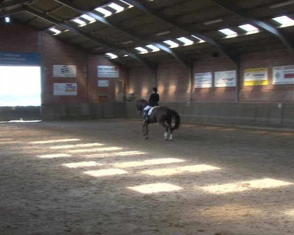 Reitturnier Kirchhoven-Vinn 2020