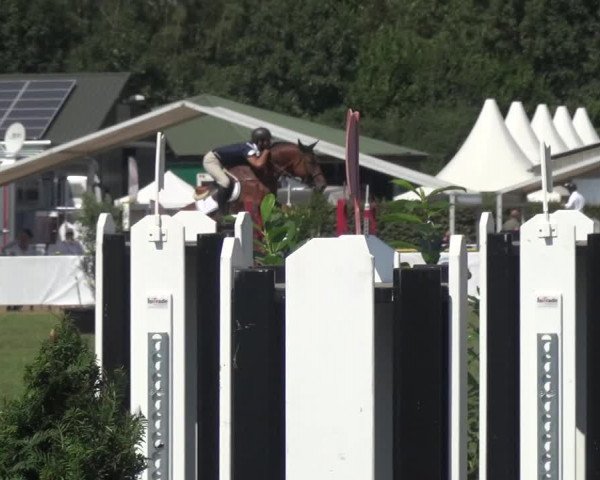 FEI Reitturnier Eschweiler (GER) 2020