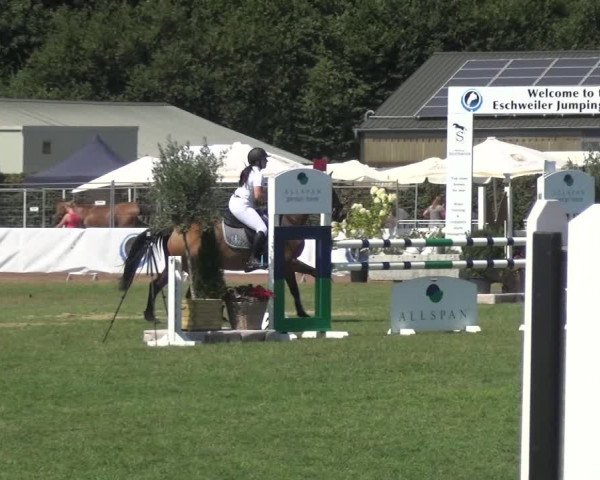 FEI Reitturnier Eschweiler (GER) 2020