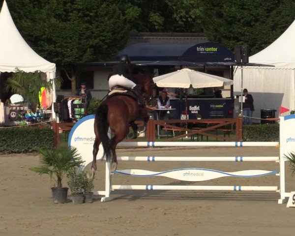 Equus Colonius - Reitanlage Brüse Köln 2021