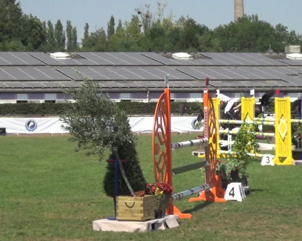 FEI Reitturnier Eschweiler (GER) 2020