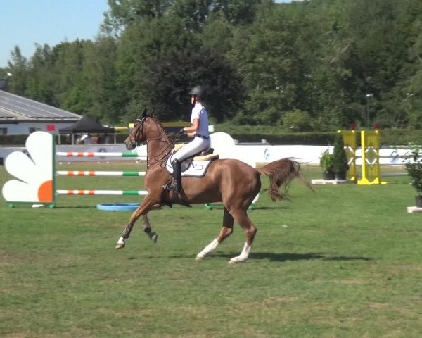 FEI Reitturnier Eschweiler (GER) 2020