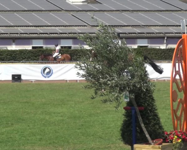 FEI Reitturnier Eschweiler (GER) 2020
