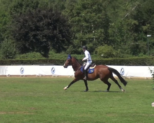 FEI Reitturnier Eschweiler (GER) 2020
