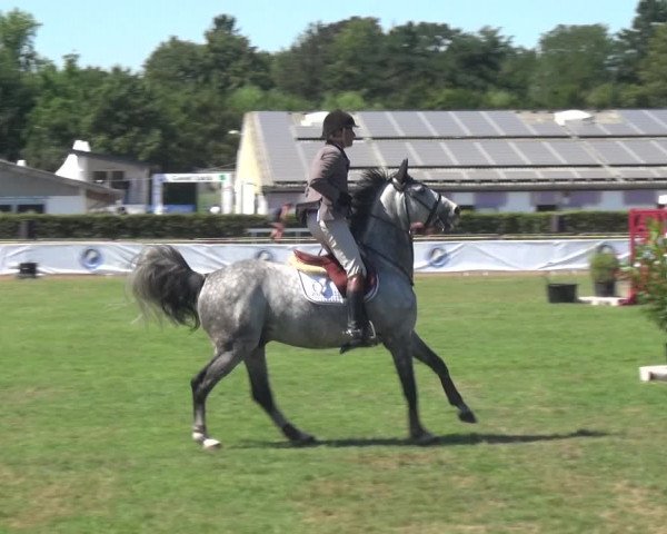 FEI Reitturnier Eschweiler (GER) 2020