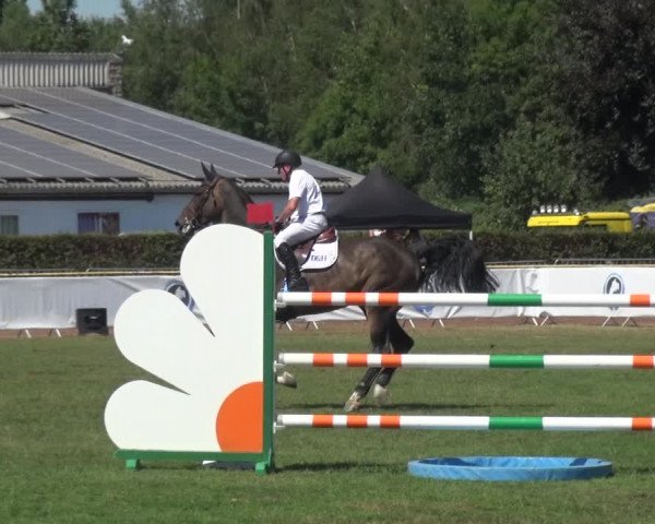 FEI Reitturnier Eschweiler (GER) 2020
