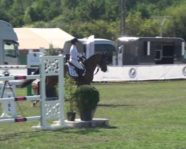 FEI Reitturnier Eschweiler (GER) 2020