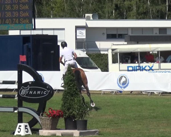 FEI Reitturnier Eschweiler (GER) 2020