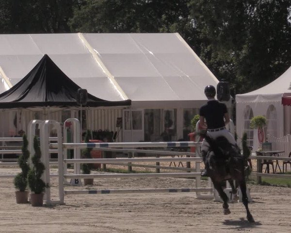 Reitturnier Münster-Handorf 2020