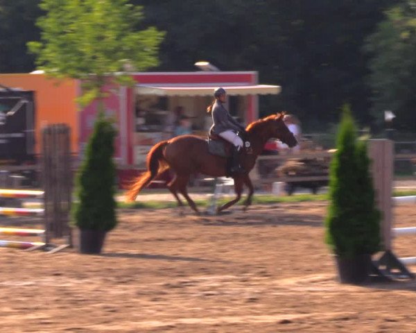 Reitturnier Altlandsberg 2020